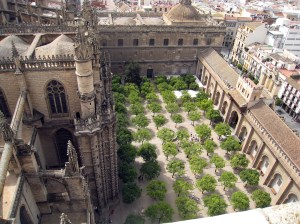 Mosque Courtyard from Giralda Tower