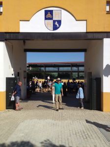 Brian at Andalusian Stud Farm Arena Gate