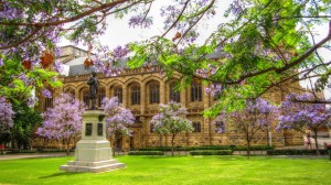 University of Adelaide