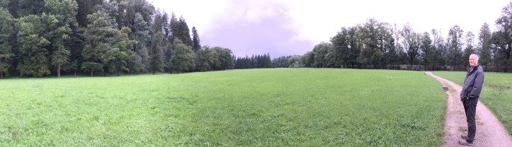 The fields are alive